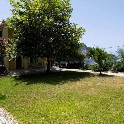 Myrtles Petanoi Beach 00239