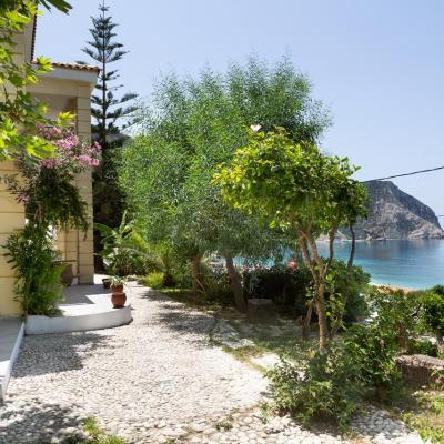 Myrtles Petanoi Beach 00241