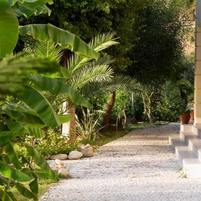 Myrtles Petanoi Beach 00251