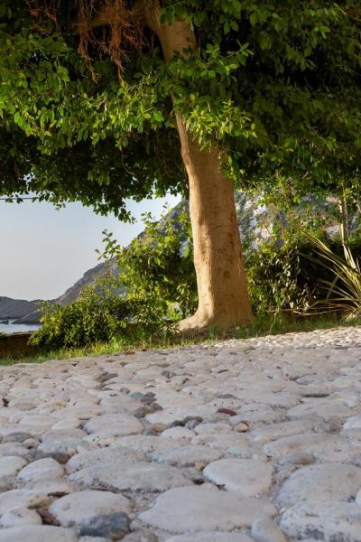 Myrtles Petanoi Beach 00255